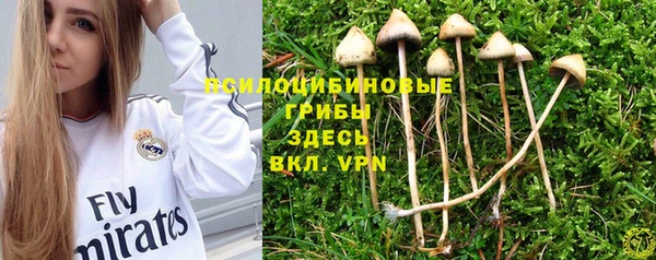 MDMA Premium VHQ Абаза