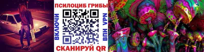 ссылка на мегу маркетплейс  Дятьково  Галлюциногенные грибы мухоморы  закладки 