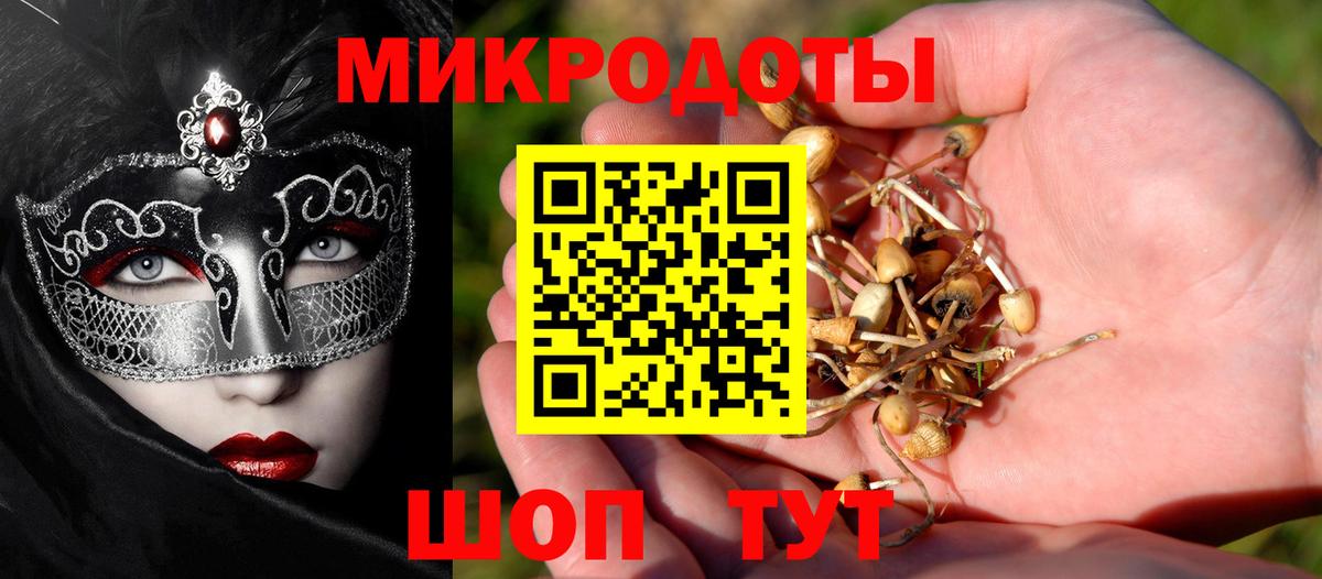 Галлюциногенные грибы MAGIC MUSHROOMS Дятьково