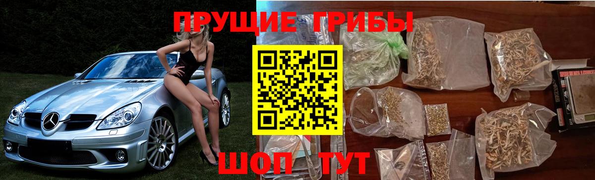 Галлюциногенные грибы Cubensis  закладки  Дятьково  Вход с VPN 